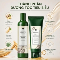 Bộ dầu gội xả Thảo dược Weilaiya Gừng trắng nhân sâm Giảm gãy rụng da đầu bết 400/250ml