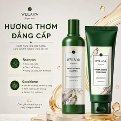 Bộ dầu gội xả Thảo dược Weilaiya Gừng trắng nhân sâm Giảm gãy rụng da đầu bết 400/250ml