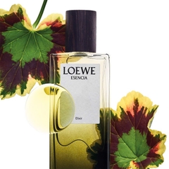 Nước Hoa Nam Loewe Esencia Elixir Pour Homme EDP (Eau de Parfum) 100ml