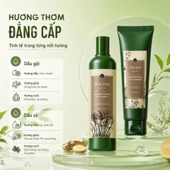 Bộ dầu gội xả Thảo dược Weilaiya Gừng Dưỡng đen, Chắc khỏe tóc, Kích thích phát triển 400/250ml
