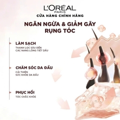 Bộ dầu gội xả ngăn ngừa & giảm gãy rụng tóc, giúp tóc chắc khỏe hơn L’oreal Paris Elseve Full Resist 440ml