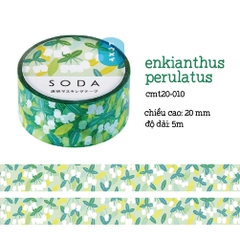 PET tape SODA
