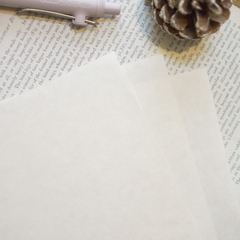 Giấy mỹ thuật Journal size A4 | Hãng Meraki