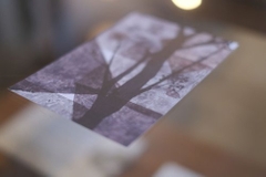 [Hội chợ Nhật 2026] Tổng hợp Postcard Jun Sasaki