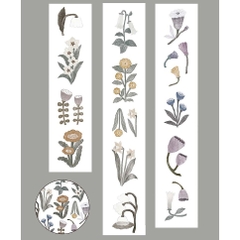 [Chiết lẻ] PET tape hãng Ivy Snow