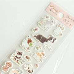 Stickers chính hãng NB
