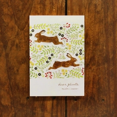 Set Postcard 10 tờ hãng Cozyca