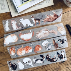 Chiết lẻ các mẫu PET tape shop pick up ở Taiwan và Malaysia