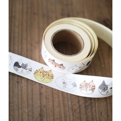 Chiết lẻ các mẫu PET tape shop pick up ở Taiwan và Malaysia