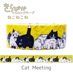 Các mẫu washi tape nhũ vàng holo Shinzi Katoh siêu lung linh