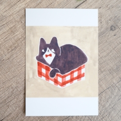 Postcard Neko | Adachi Miyuu