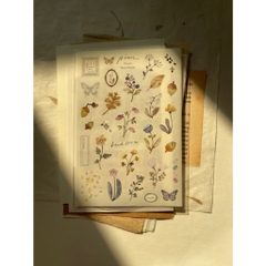 Các mẫu sticker sheet chất washi hãng Pion l Taiwan