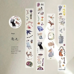 [2026.05] Các mẫu chiết PET Tape và Washi pick up Taiwan