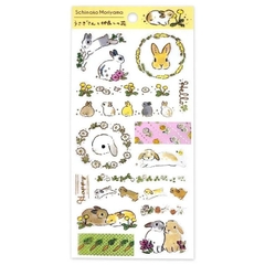 Các mẫu Sticker có nhũ vàng | hãng Active Nhật Bản