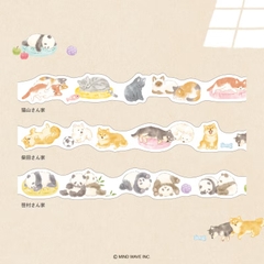 Các mẫu masking tape 
