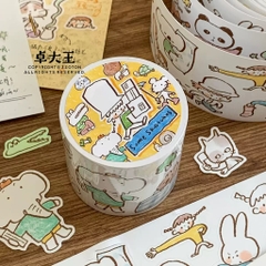 Các mẫu PET Tape, Sticker hãng Molinta