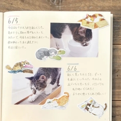 Các mẫu Flake Sticker 