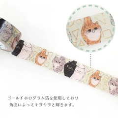 Các mẫu washi tape có nhũ series 