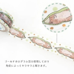 Các mẫu washi tape có nhũ series 