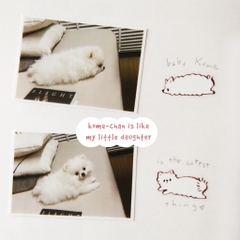 PET Tape Stickers - hình dán bế viền sẵn 