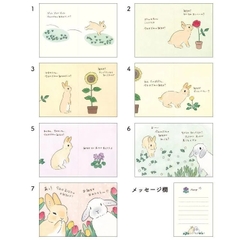 Các loại sách/ thiệp/ mini card chúc mừng sinh nhật | Hãng Tokoro Komugi Nhật Bản