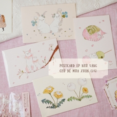 Lucky Box 2026 - Hộp may mắn limited Mùa Xuân by teayou