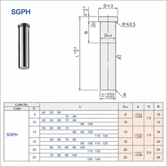 Trục Dẫn Hướng SGPH25