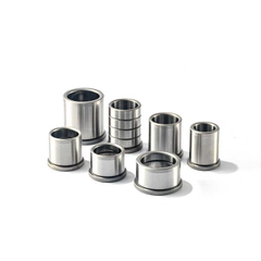 Bạc Dẫn Hướng SGBT10