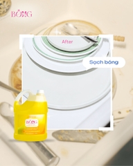Nước rửa chén BÔNG hương Chanh Bạc Hà