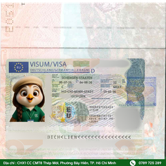 Visa SCHENGEN