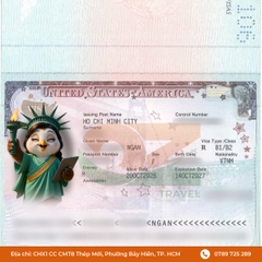 Visa Mỹ