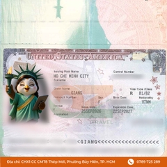 Visa Mỹ