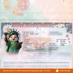 Visa Mỹ