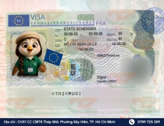 Visa SCHENGEN