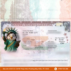 Visa Mỹ