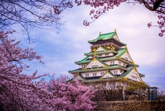 DU LỊCH NHẬT BẢN: NARITA – TOKYO – TOYOHASHI – OSAKA TẾT 2026 (VN)