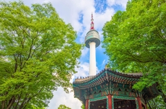 (HN) KHÁM PHÁ HÀN QUỐC: SEOUL – EVERLAND – NAMI – STARFIELD 2025 (7C)