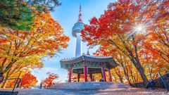 DU LỊCH HÀN QUỐC: SEOUL – NAMI – EVERLAND XUÂN 2026 (VJ)