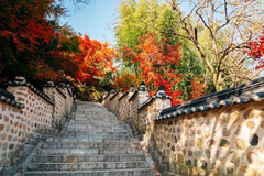 Du Lịch Hàn Quốc: Busan – Daegu – Seoul THU 2025 (VN/VJ)