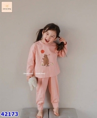 Bộ Jam&Jenny hồng gấu - size 8-9y