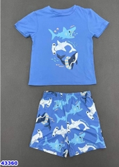 Bộ Primark xanh cá mập
