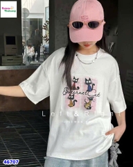 Áo trắng 4 con mèo