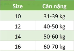 Set 3 quần chip Gee bé trai