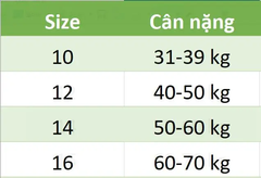 Set 3 quần chip Gee sọc