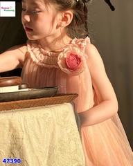 Đầm babydoll hồng hoa