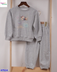 Set bộ dài xám chó