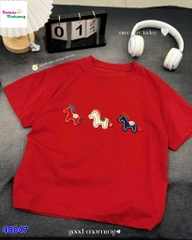 Áo đỏ thêu 3 con ngựa