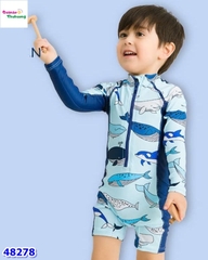 Bộ bơi liền xanh cá mập