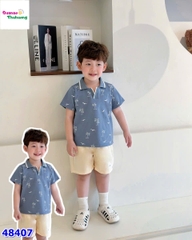 Bộ Bernie xanh cây dừa