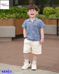 Bộ Bernie xanh cây dừa